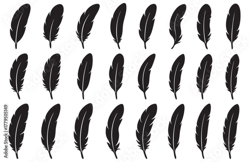 Elegant black feather silhouettes arranged on a white background for artistic design elements
