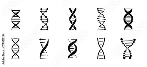 dna strand. Modern DNA strand illustration silhouette.