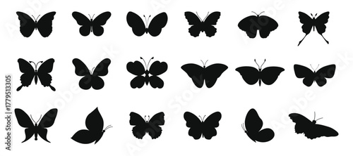 Butterfly silhouette. Monarch butterfly silhouettes collection