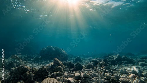 Wallpaper Mural Sunlight streaming through clear ocean water illuminating rocky seabed with tranquil underwater scenery and serene marine atmosphere Torontodigital.ca
