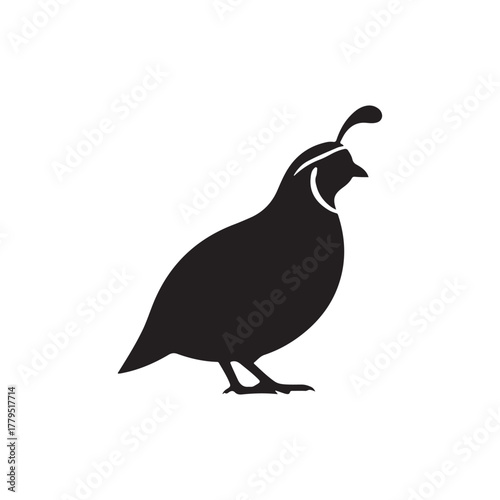 Quail silhouette icon vector flat illustration