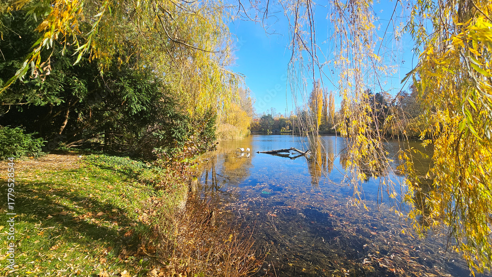 Obraz premium Herbst am Wasser