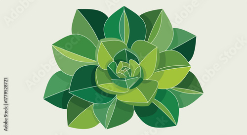 Stylized illustration of a succulent plant in various shades of green, outlined
