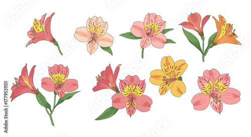 Colorful floral collection with handdrawn flowers in soft pastel shades