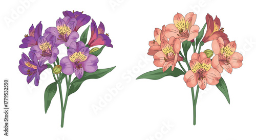 Vibrant floral bouquets with purple and peach blossoms on white background