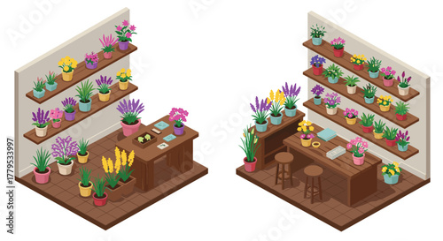 Isometric flower shop interior with colorful potted plants on shelves and counters