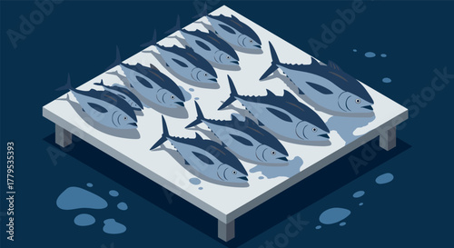 Isometric display of fresh fish on ice at seafood market
