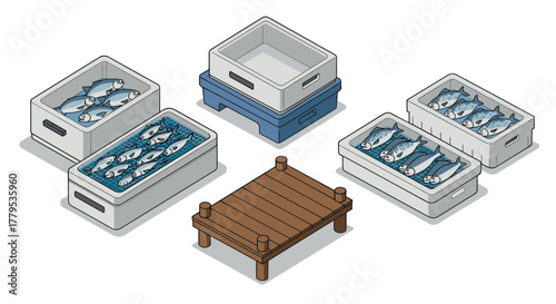 Isometric fish packaging boxes with wooden display platform