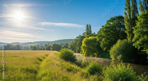 Fototapeta Naklejka Na Ścianę i Meble -  Golden field bathed in sunlight with lush green trees and rolling hills