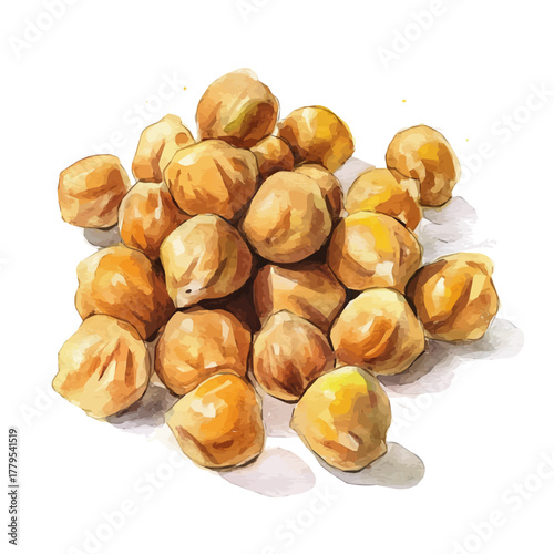 delicately hand-painted with artistic brush strokes, A Watercolor painting of chickpeas, minimal layout, white background, vector EPS. vector illustration
