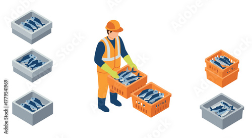 Isometric fisherman sorting catch in crates with fresh fish