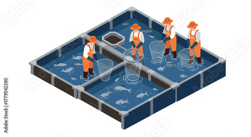 Isometric aquaculture scene with workers harvesting fish in large tanks