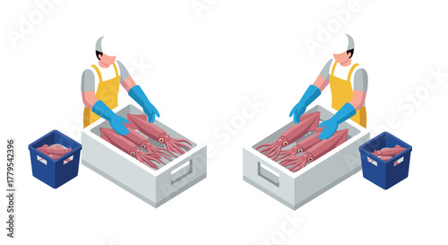 Isometric seafood worker packing fresh squid for distribution