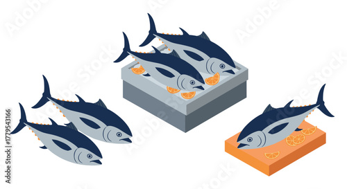 Fresh tuna and citrus arrangement isometric design