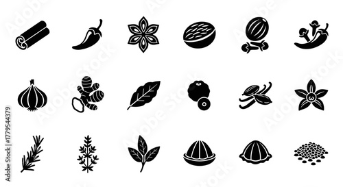 Aromatic spice collection for culinary arts and savory food creations, herbs and seasonings