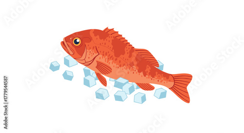 Red fish with ice cubes on white background  vibrant seafood illustration