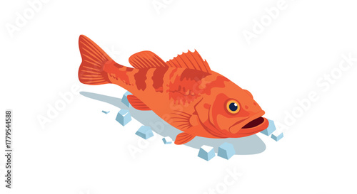 Red fish on ice cubes isolated on white background in isometric style