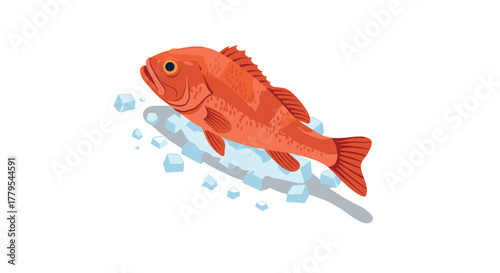 Fresh red fish on ice with scatter cubes in detailed realistic style