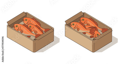 Isometric fish boxes fresh seafood packaging design