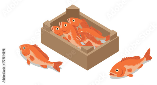 Isometric display of fresh fish in cardboard box
