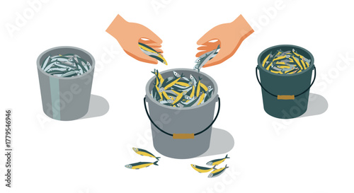 Hands sorting small colorful fish in buckets with shadow effects on white background