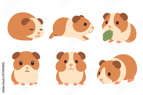 Adorable guinea pigs in various poses for pet lovers. Set of 6 vector illustration