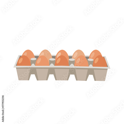 Vector Illustration of Eggs in Carton Tray