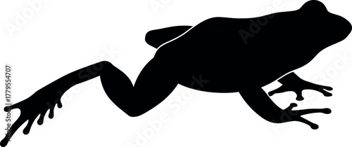 Silhouette of a Leaping Frog with Detailed Toes and Textured Skin