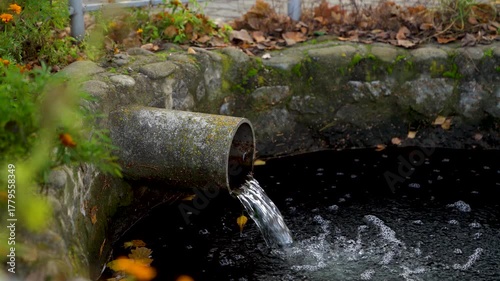 drainage pipe with clean water flowing into stone pond surrounded by autumn leaves and moss. Outdoor environmental photography. Water circulation and ecology concept for design and print.