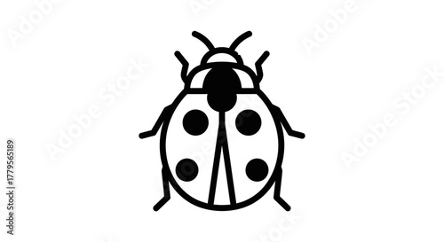 A stylized line drawing of a ladybug with spots on its shell.