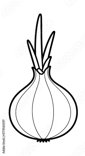 Detailed Onion Outline for Culinary and Nutritional Projects: A Bold Line Art Illustration for Gardening Guides, Recipe Books, and Vegetarian Lifestyle Content, Ideal for Food Blogs and Educational Re