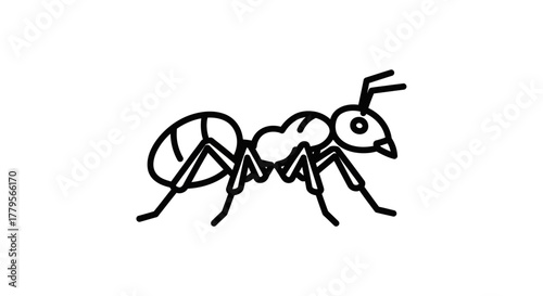 Simple black and white line drawing of an ant walking across a white background.