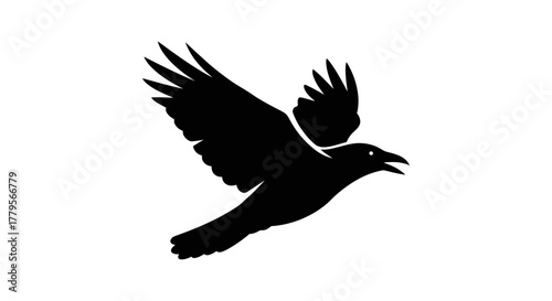 Silhouette of a black raven in mid-flight, wings spread wide against white.