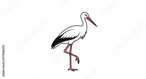 Illustration of a white stork standing on one leg, with black wing tips and a red beak.