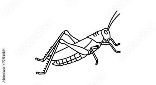 A detailed line drawing of a grasshopper depicted in a side profile.