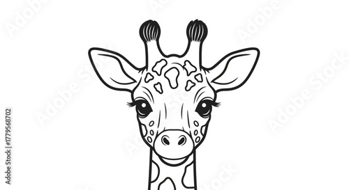 A black and white line drawing of a giraffe's head, featuring its distinctive spots and ossicones.