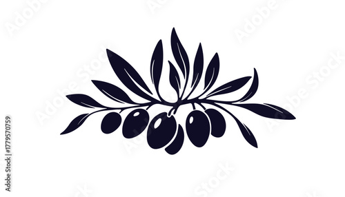 Olive silhouette of leaves, oil berry. Greek botanical sign