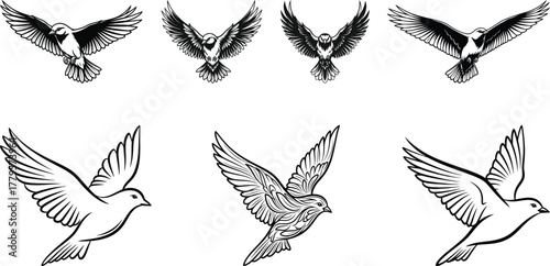 Flying Bird Vector Silhouettes Collection