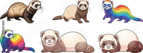 Cute Ferret and Rainbow Ferret Illustrations Set