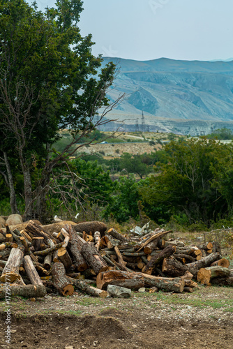 Fragments of stones and rocks against the background of mountains