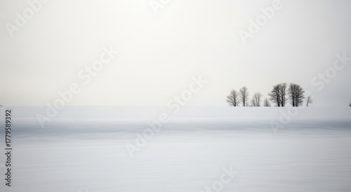 A minimal winter landscape showing a vast, untouched snowy field. A few bare, dark trees stand in the distance against a pale, overcast sky that blends with the snowy background.
