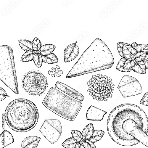 Pesto sauce ingredients vector illustration. Hand drawn sketch. Italian food. Basil, parmesan cheese, pine nuts, garlic, salt, arugula, mortar and pestle