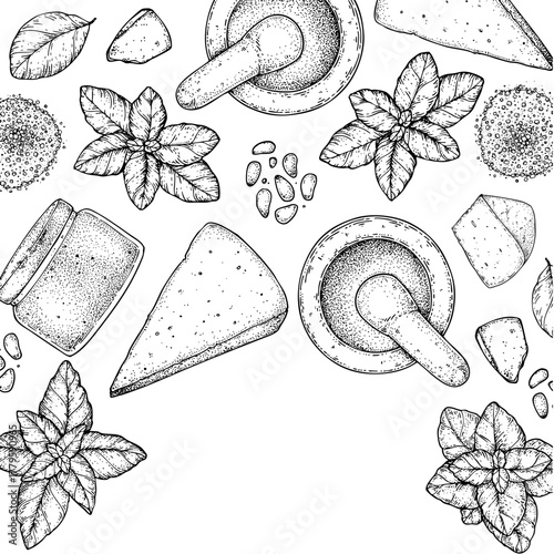 Pesto sauce ingredients vector illustration. Hand drawn sketch. Italian food. Basil, parmesan cheese, pine nuts, garlic, salt, arugula, mortar and pestle
