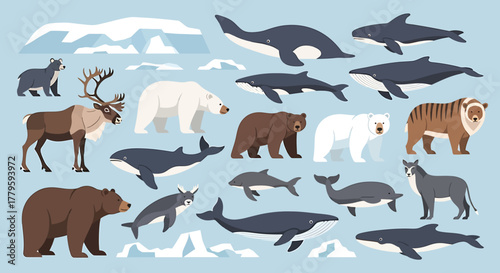 A diverse collection of wild arctic and marine animals, including bears, whales, and reindeer, depicted in a flat vector illustration style.