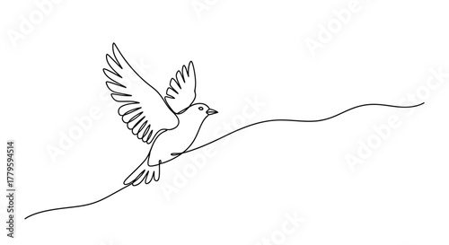 A minimalist line drawing of a dove in flight, symbolizing peace and freedom.