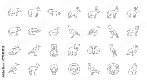 Collection of animal icons in outline style, including bear, crocodile, deer, rabbit, turkey, eagle, lion, and other wildlife.