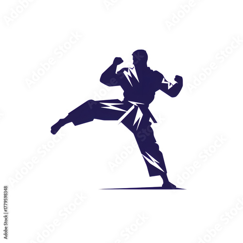 Silhouette of a martial artist in a kicking stance pose