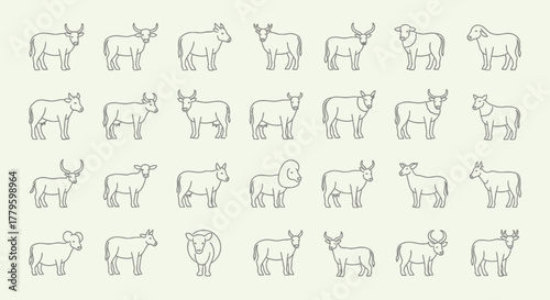 A collection of minimalist line art illustrations depicting various types of cattle, sheep, and goats in profile view.