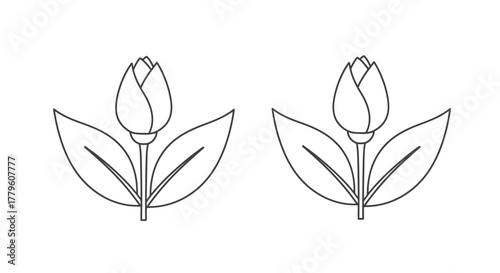Simple black and white illustration of two tulip buds with leaves