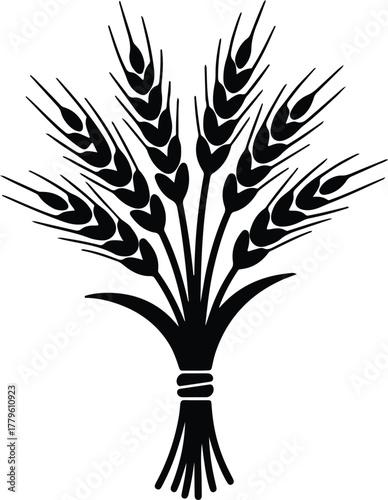 Wheat Ears Bundle Silhouette, Black and White Vector of Harvest Grain Sheaf for Agriculture, Farm Logo, and Organic Food Design